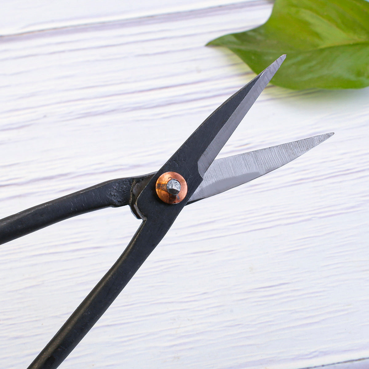 Bonsai Tree Pruning Scissors For Leaf Bud Twig SP201