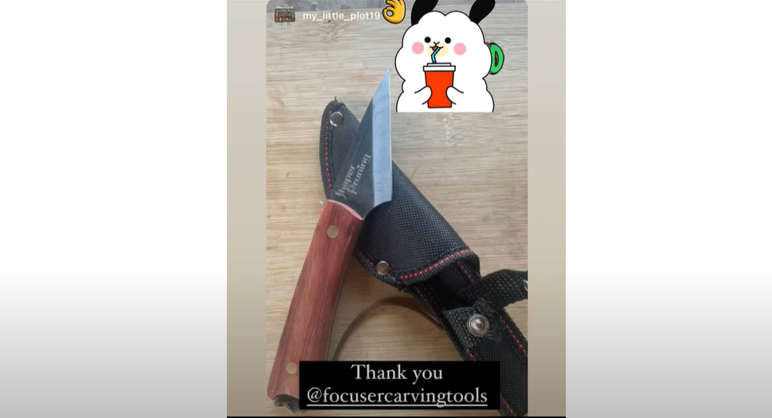 Load video: Best Anvil Pruner Shear For Gardening